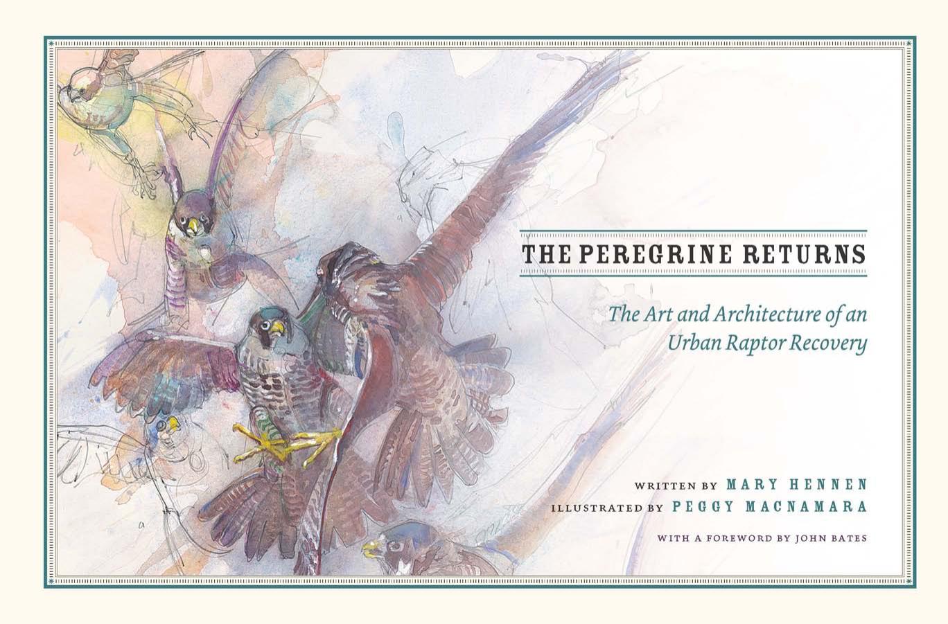 The Peregrine Returns : The Art and Architecture of an Urban Raptor Recovery by Unknow