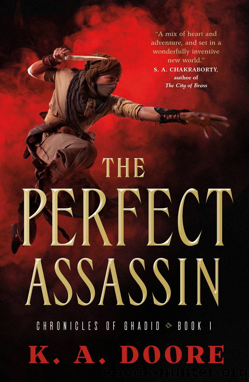 The Perfect Assassin by K. A. Doore