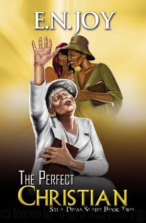 The Perfect Christian by E. N. Joy