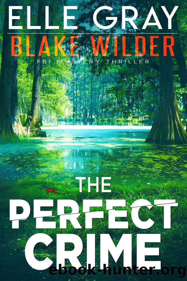 The Perfect Crime (Blake Wilder FBI Mystery Thriller Book 25) by Elle Gray