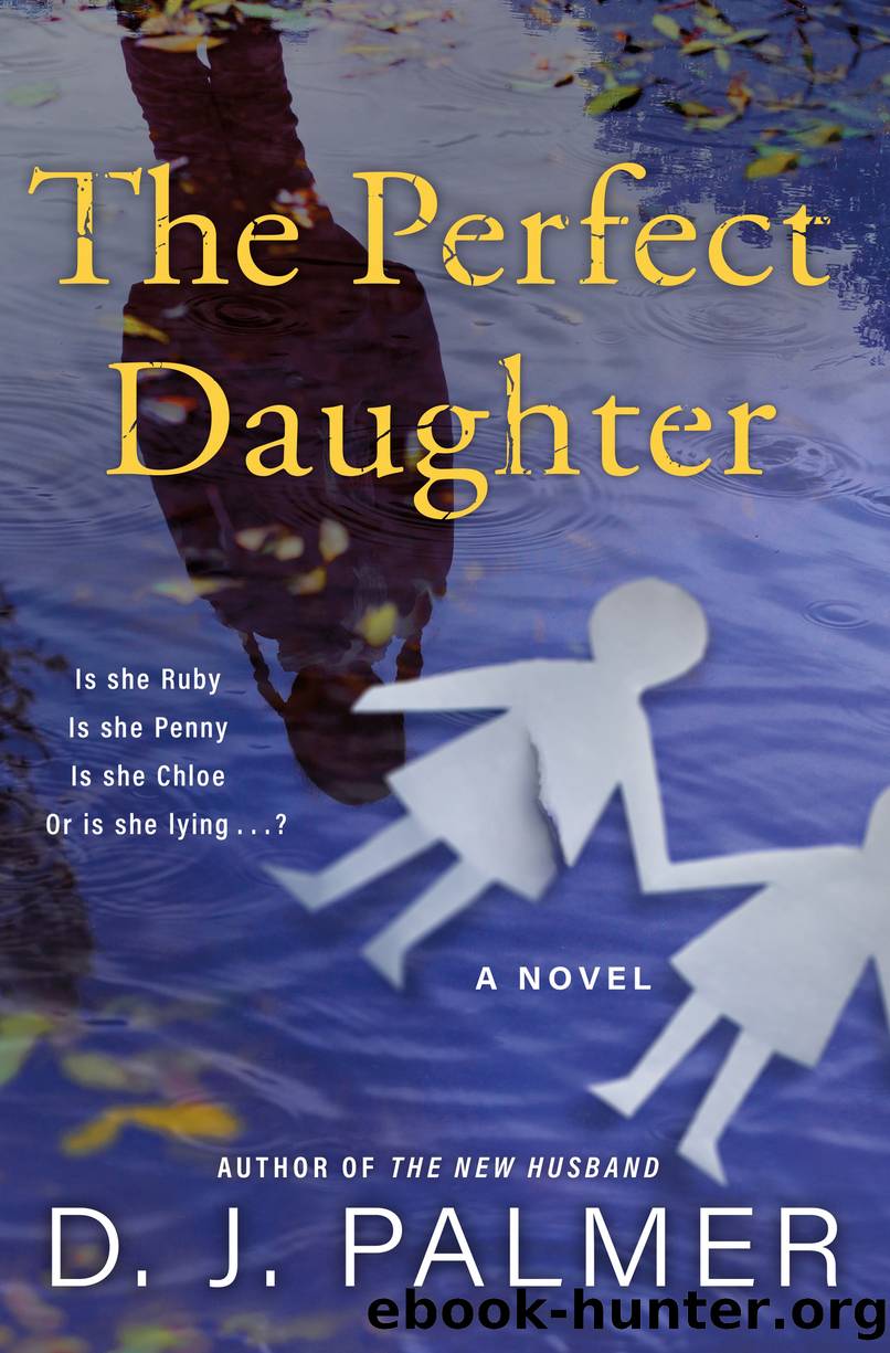 The Perfect Daughter by D.J. Palmer
