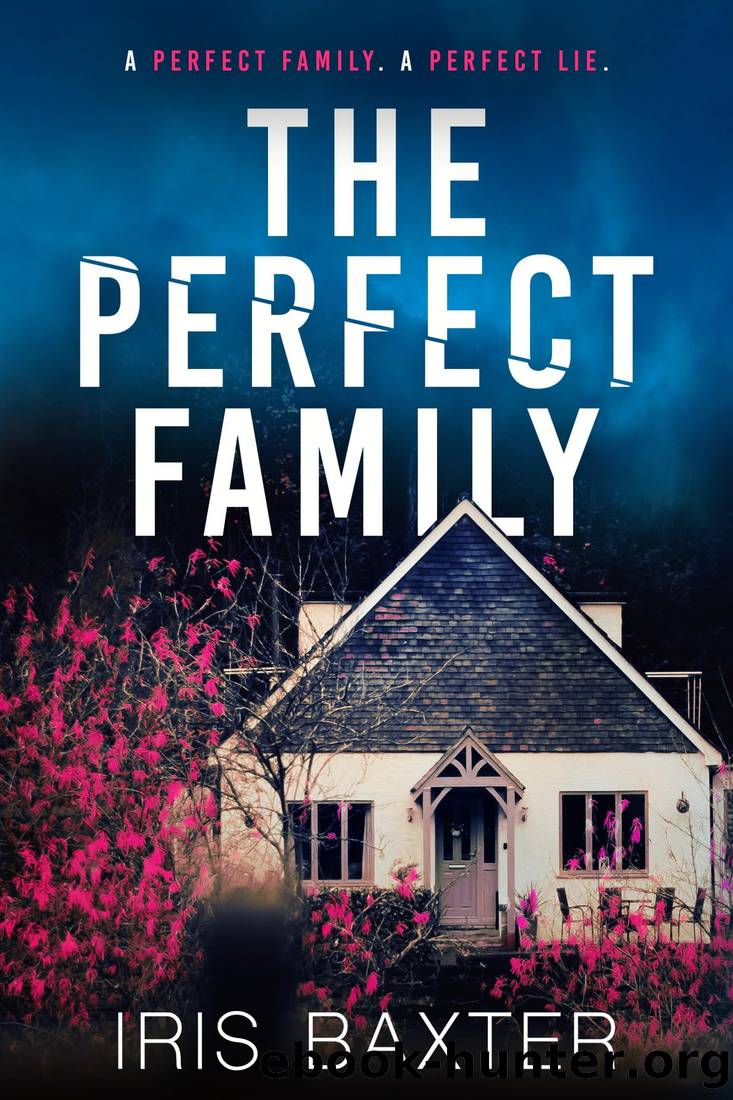 The Perfect Family by Iris Baxter