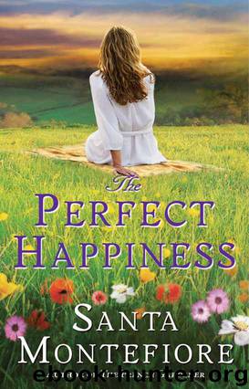 The Perfect Happiness by Santa Montefiore