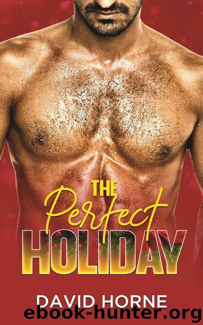The Perfect Holiday by Horne David