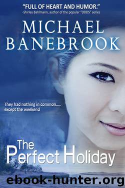 The Perfect Holiday by Michael Banebrook