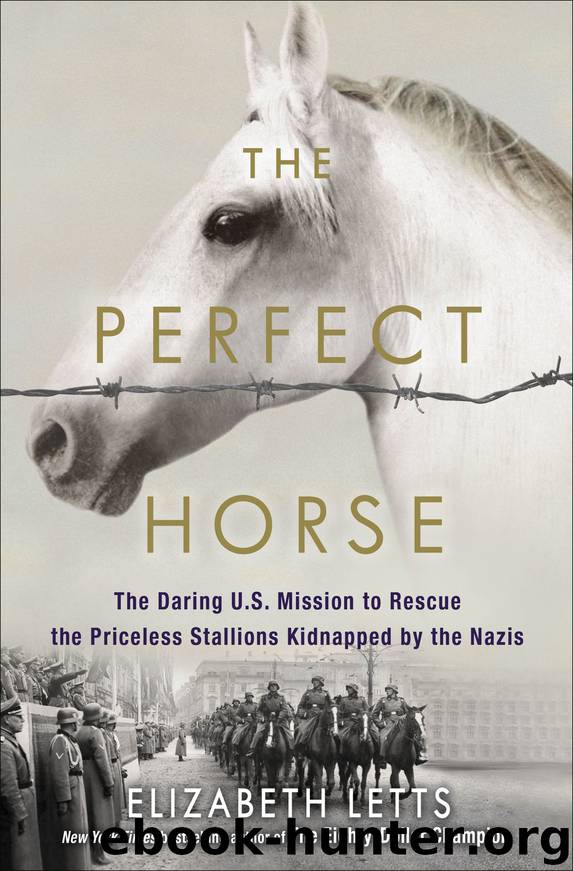 The Perfect Horse by Elizabeth Letts