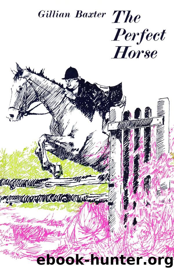 The Perfect Horse by Gillian Baxter