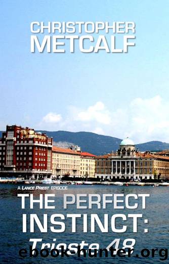The Perfect Instinct by Christopher Metcalf