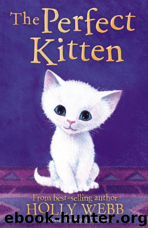 The Perfect Kitten by Holly Webb