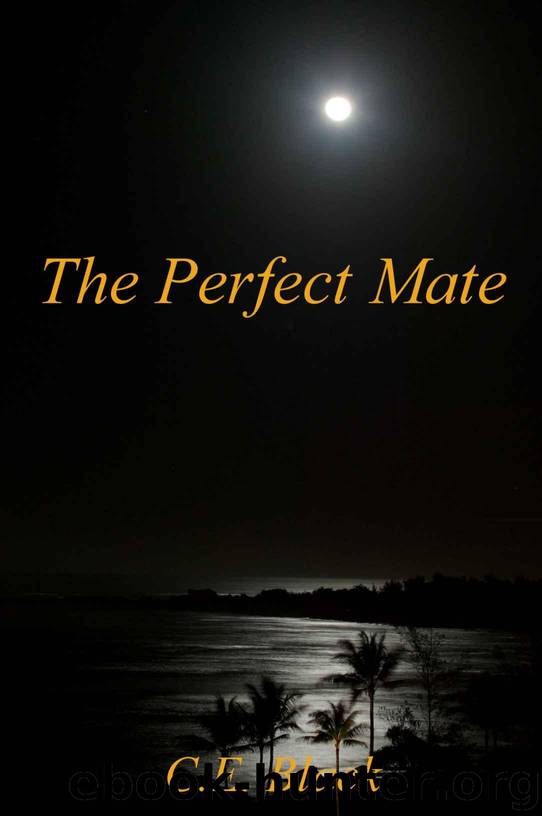 The Perfect Mate (Enduring Kiss) by Black C.E