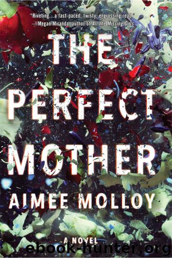 The Perfect Mother by Aimee Molloy