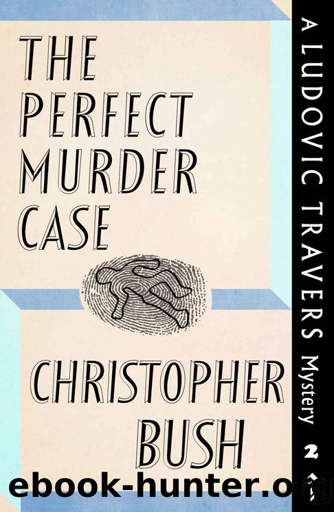 The Perfect Murder Mystery by Bush Christopher
