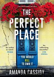 The Perfect Place by Amanda Cassidy