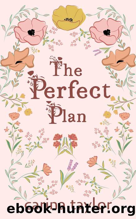 The Perfect Plan by Carina Taylor