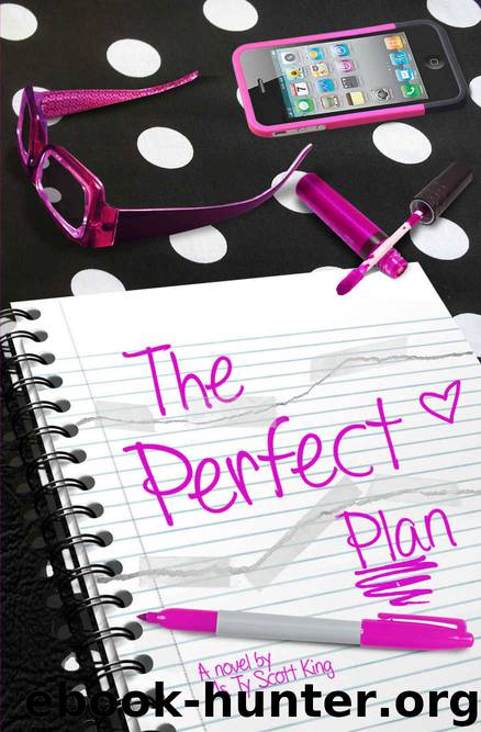 The Perfect Plan by Ms. Ty Scott King