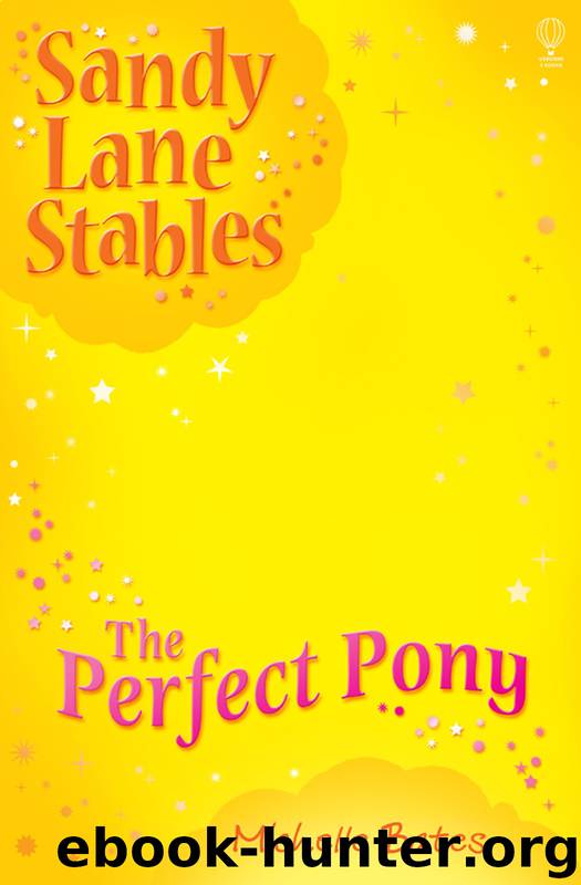 The Perfect Pony by Michelle Bates