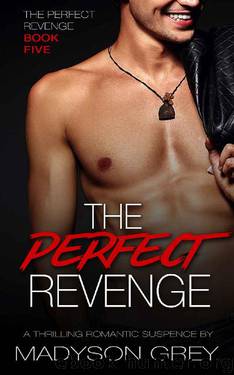 The Perfect Revenge_A Thrilling Romantic Suspense by Madyson Grey