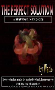 The Perfect Solution-A Suspense of Choices by Ey Wade