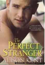 The Perfect Stranger by Alison Kent - Smithson Group SG-5 09 - The Perfect Stranger