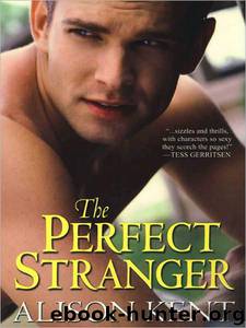 The Perfect Stranger by Alison Kent