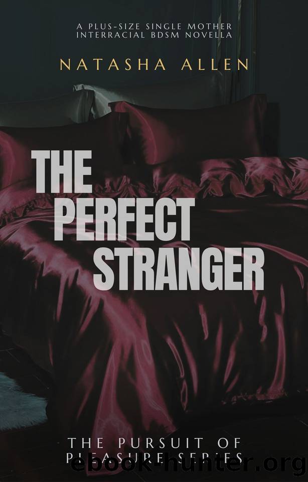 The Perfect Stranger: A plus-size single mother interracial BDSM Novella by Allen Natasha