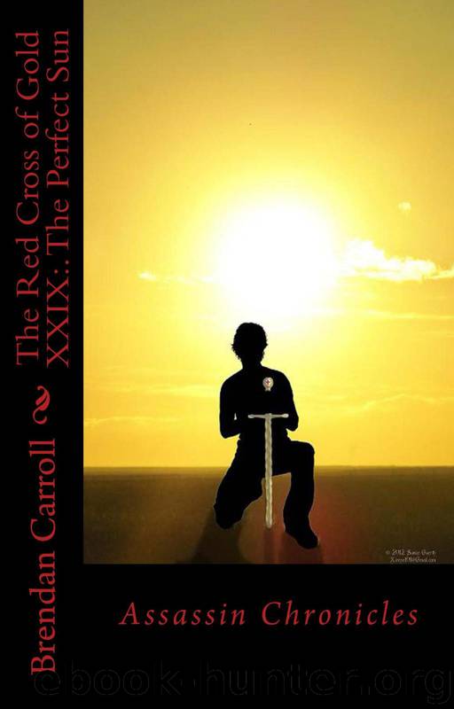 The Perfect Sun by Brendan Carroll