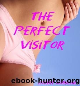 The Perfect Visitor by Robert Lubrican