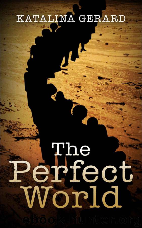 The Perfect World (The Perfect World Series Book 1) by Gerard Katalina