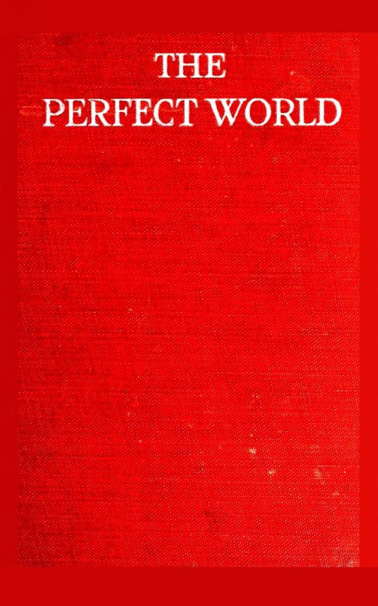 The Perfect World by Ella Scrymsour