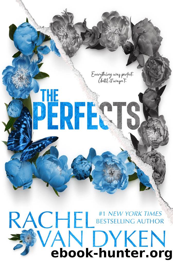 The Perfects by Dyken Rachel van