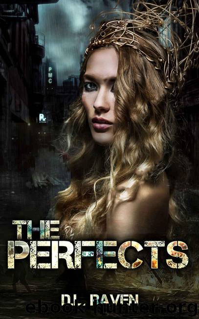 The Perfects by Raven D.L