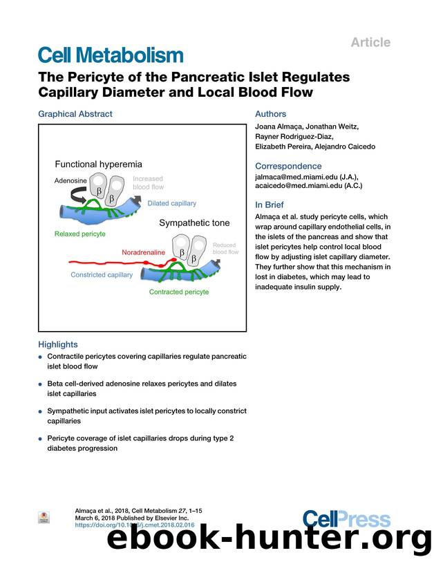 The Pericyte of the Pancreatic Islet Regulates Capillary Diameter and Local Blood Flow by Joana Almaça & Jonathan Weitz & Rayner Rodriguez-Diaz & Elizabeth Pereira & Alejandro Caicedo