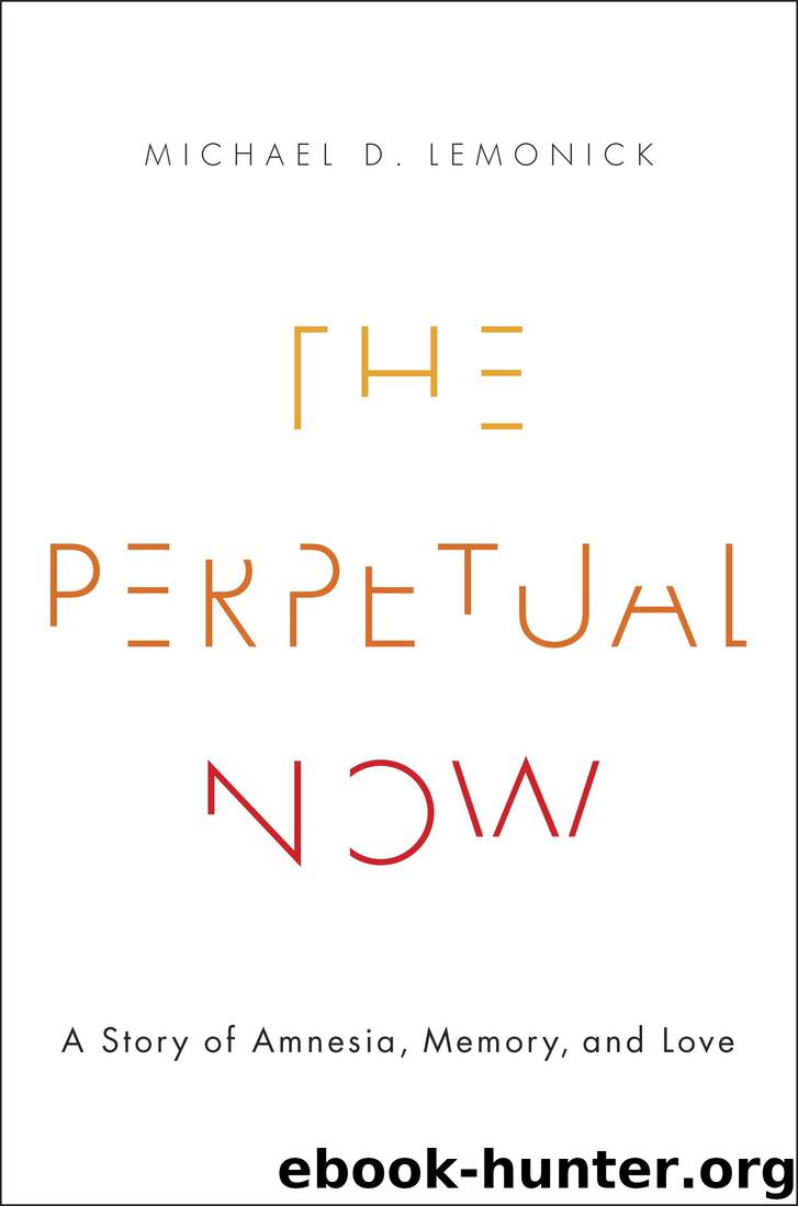 The Perpetual Now by Michael D. Lemonick