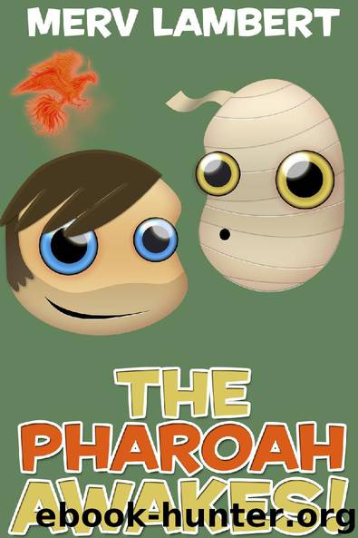 The Pharaoh Awakes! And Other Stories by Merv Lambert