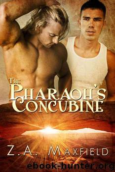 The Pharaoh's Concubine by Z. A. Maxfield