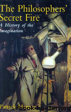 The Philosopher's Secret Fire: A History of the Imagination by Patrick Harpur