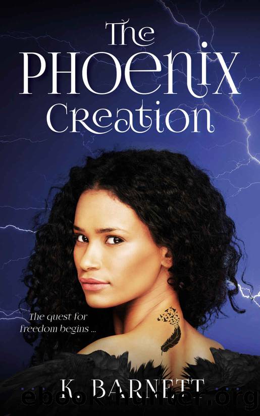 The Phoenix Creation by K. Barnett