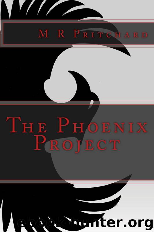 The Phoenix Project by Pritchard M