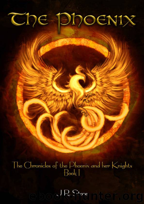 The Phoenix by J R Stone