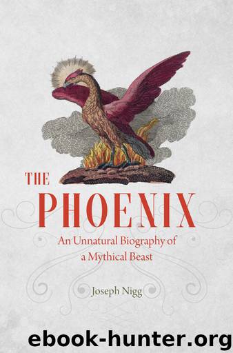 The Phoenix by Joseph Nigg