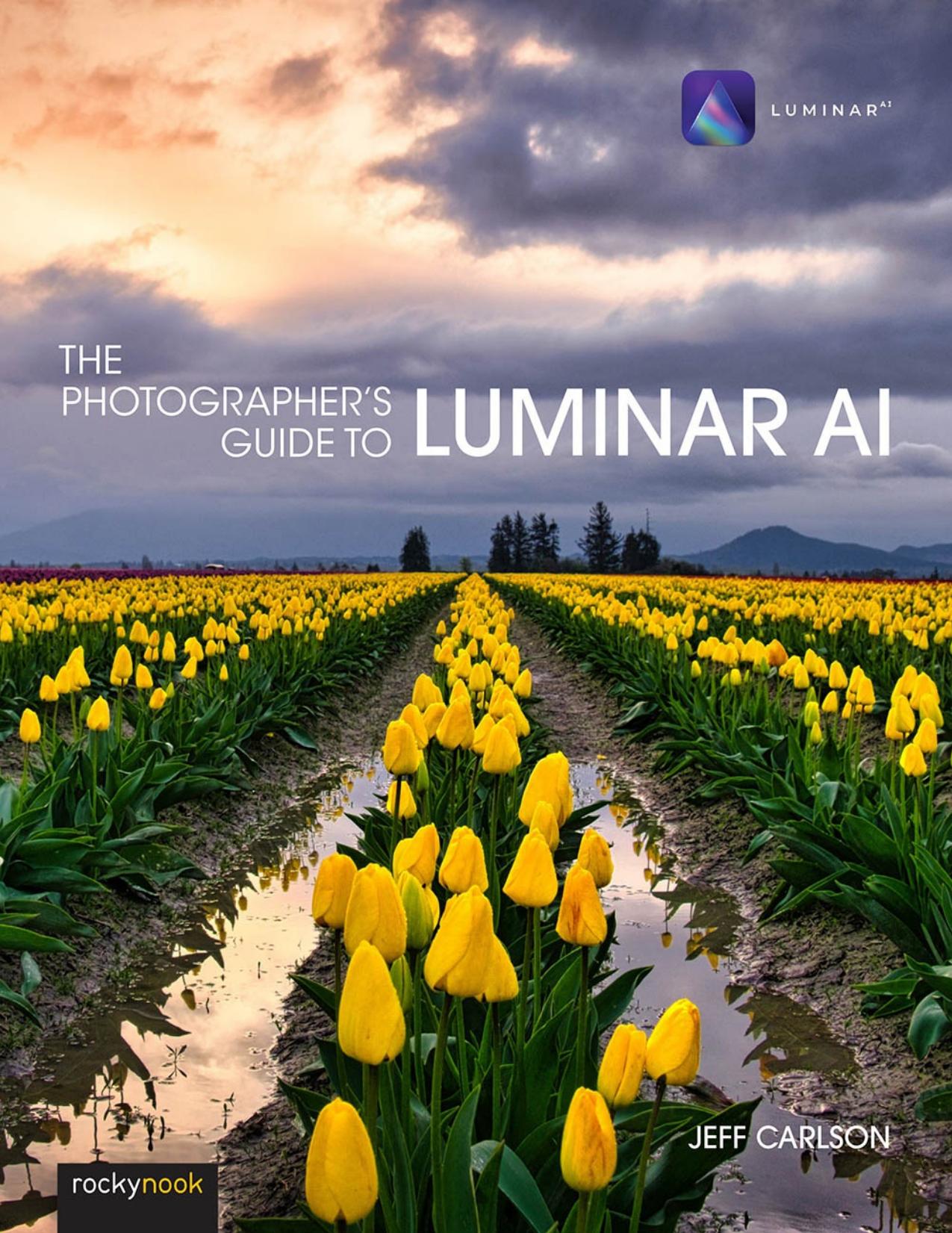 The Photographer's Guide to Luminar AI by Jeff Carlson