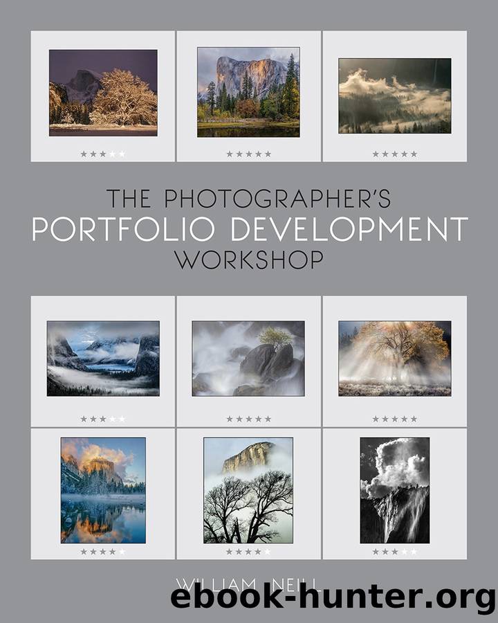 The Photographer's Portfolio Development Workshop by William Neill