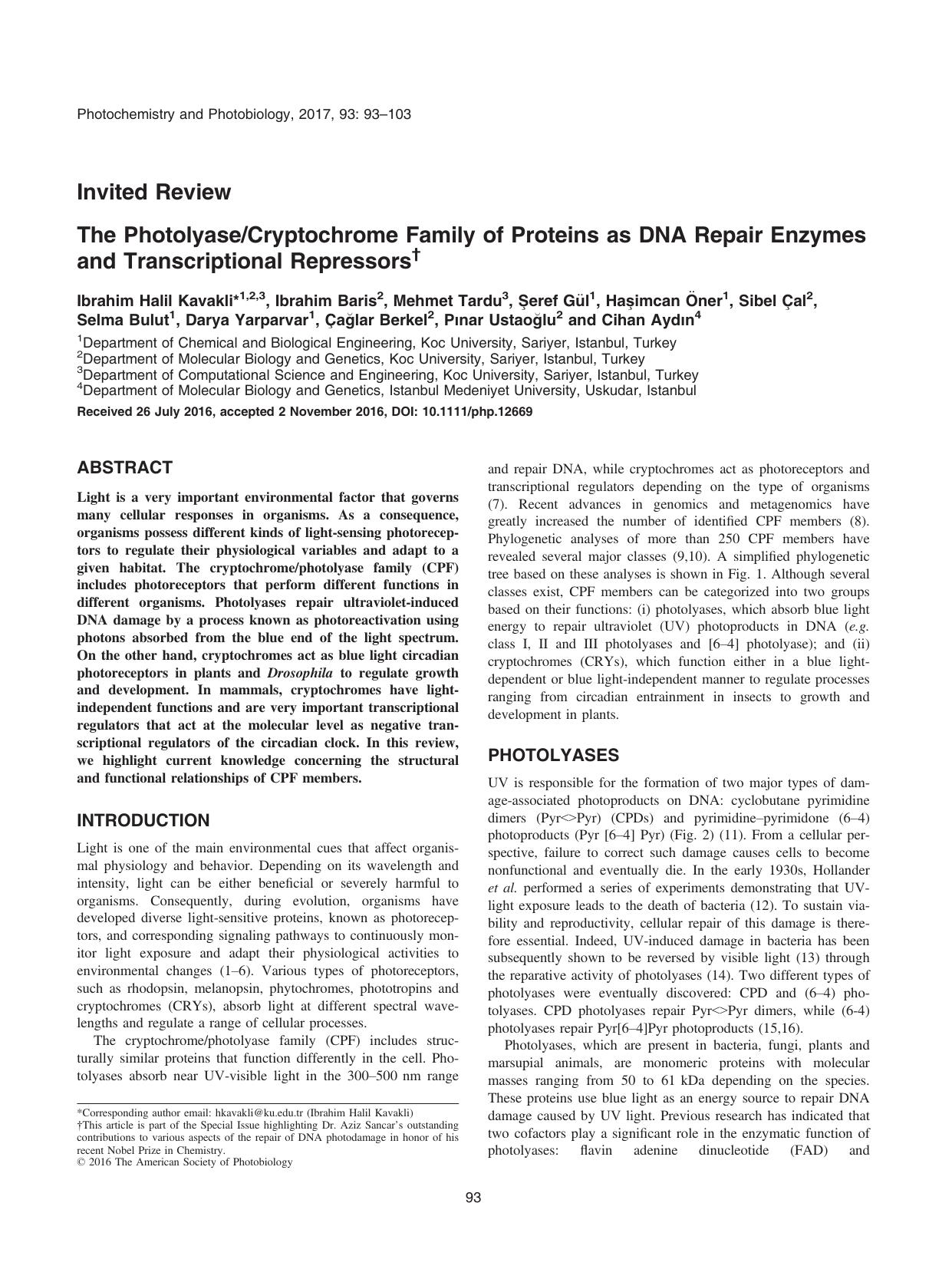 The PhotolyaseCryptochrome Family of Proteins as DNA Repair Enzymes and Transcriptional Repressors by Unknown