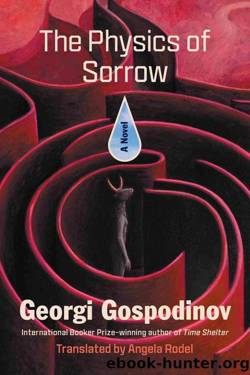 The Physics of Sorrow by Georgi Gospodinov