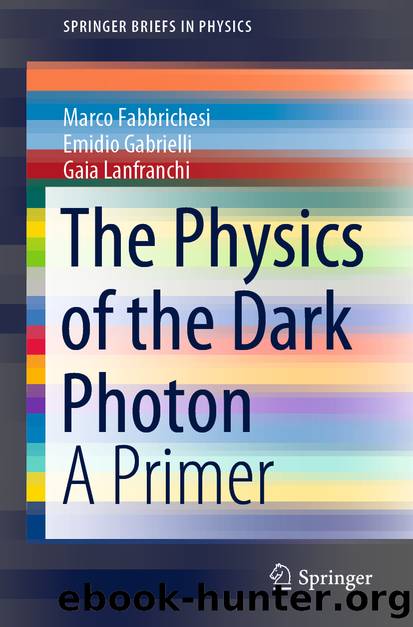 The Physics of the Dark Photon by Marco Fabbrichesi & Emidio Gabrielli & Gaia Lanfranchi