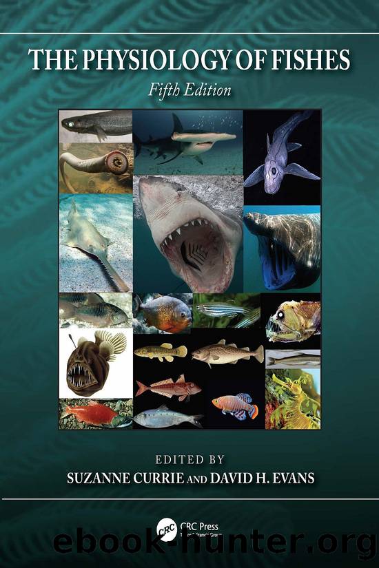 The Physiology of Fishes by Currie Suzanne; Evans David H.;