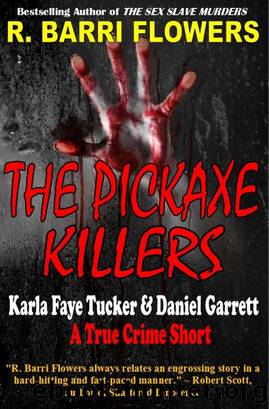 The Pickaxe Killers by R. Barri Flowers