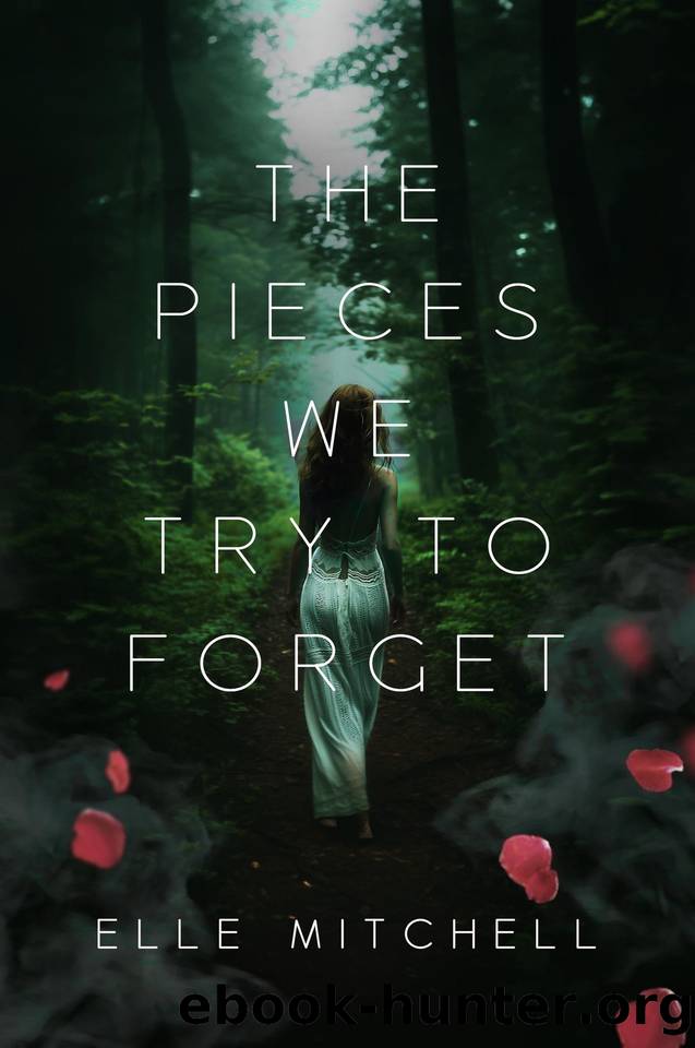 The Pieces We Try to Forget (Lost Hollow Book 2) by Elle Mitchell