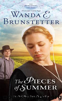 The Pieces of Summer by Wanda E. Brunstetter