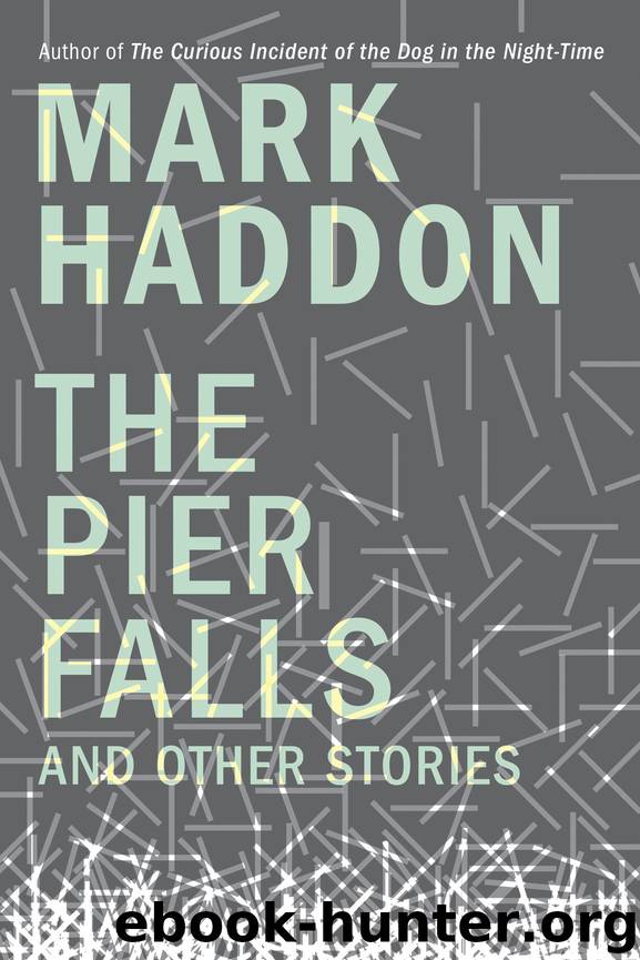 The Pier Falls by Mark Haddon